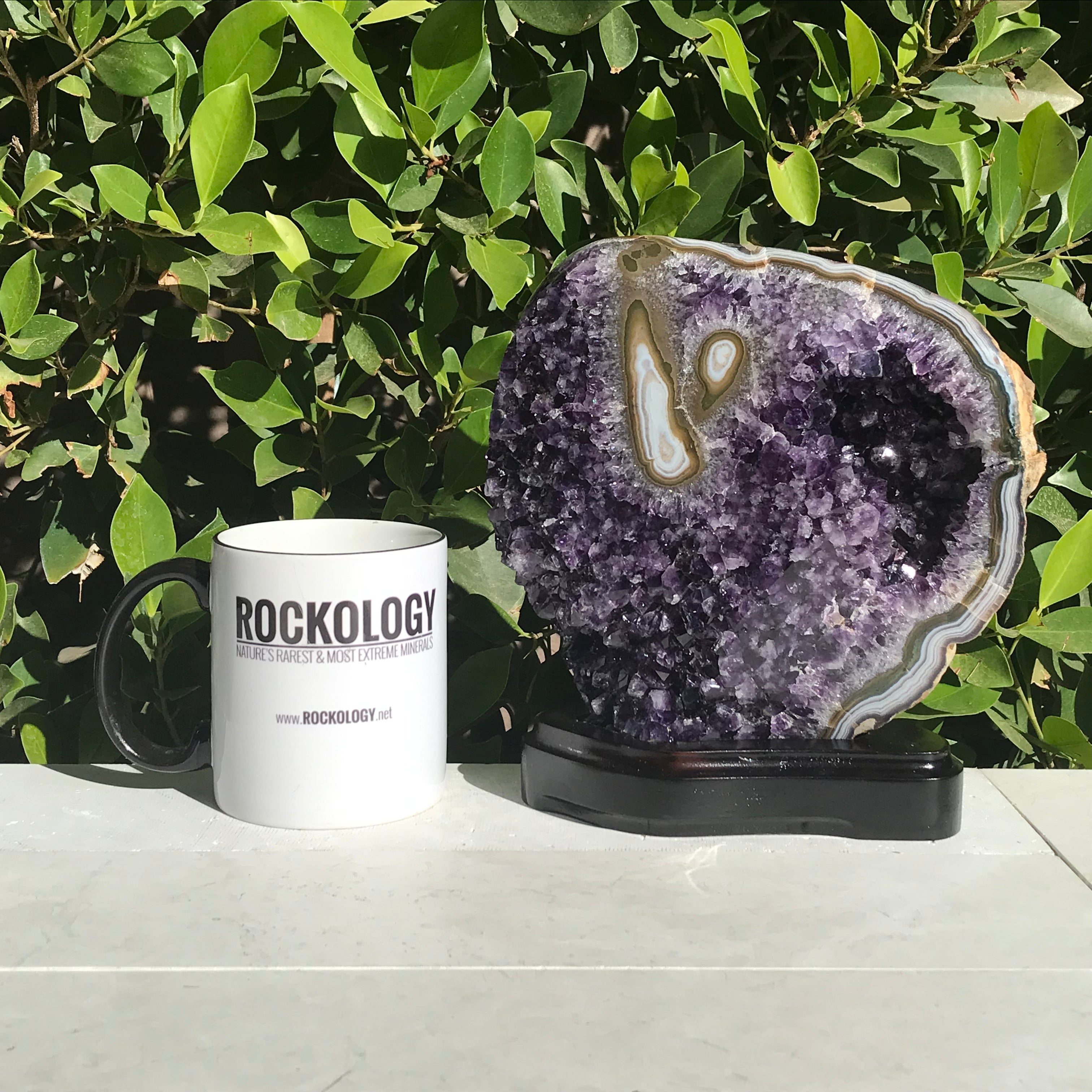 Stately Uruguayan Amethyst with Agate Eyes Freeform
