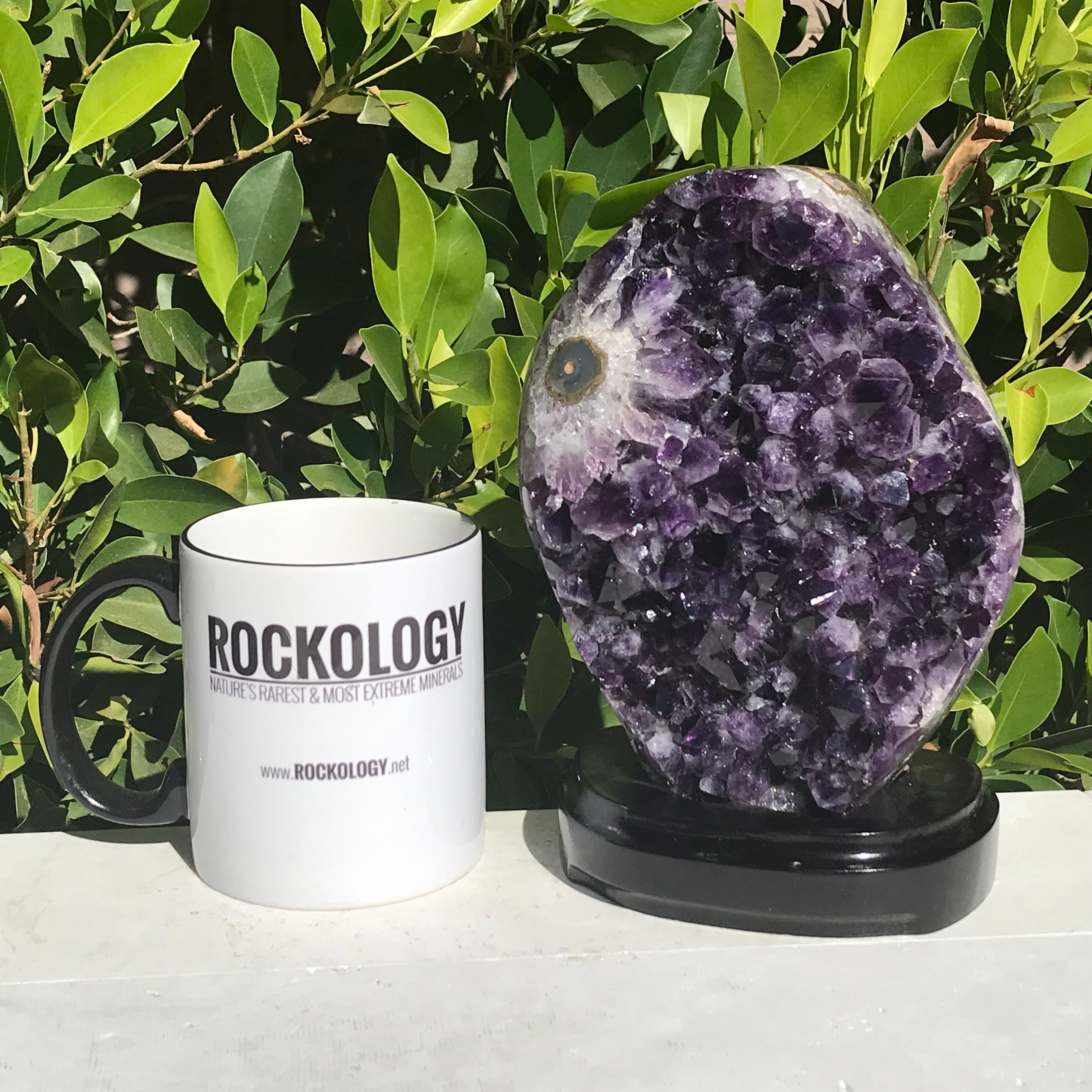 Single Eyed Amethyst Freeform