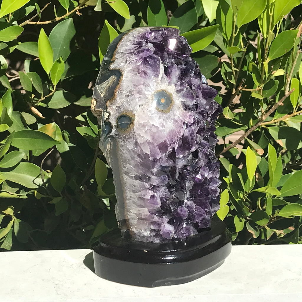 Single Eyed Amethyst Freeform