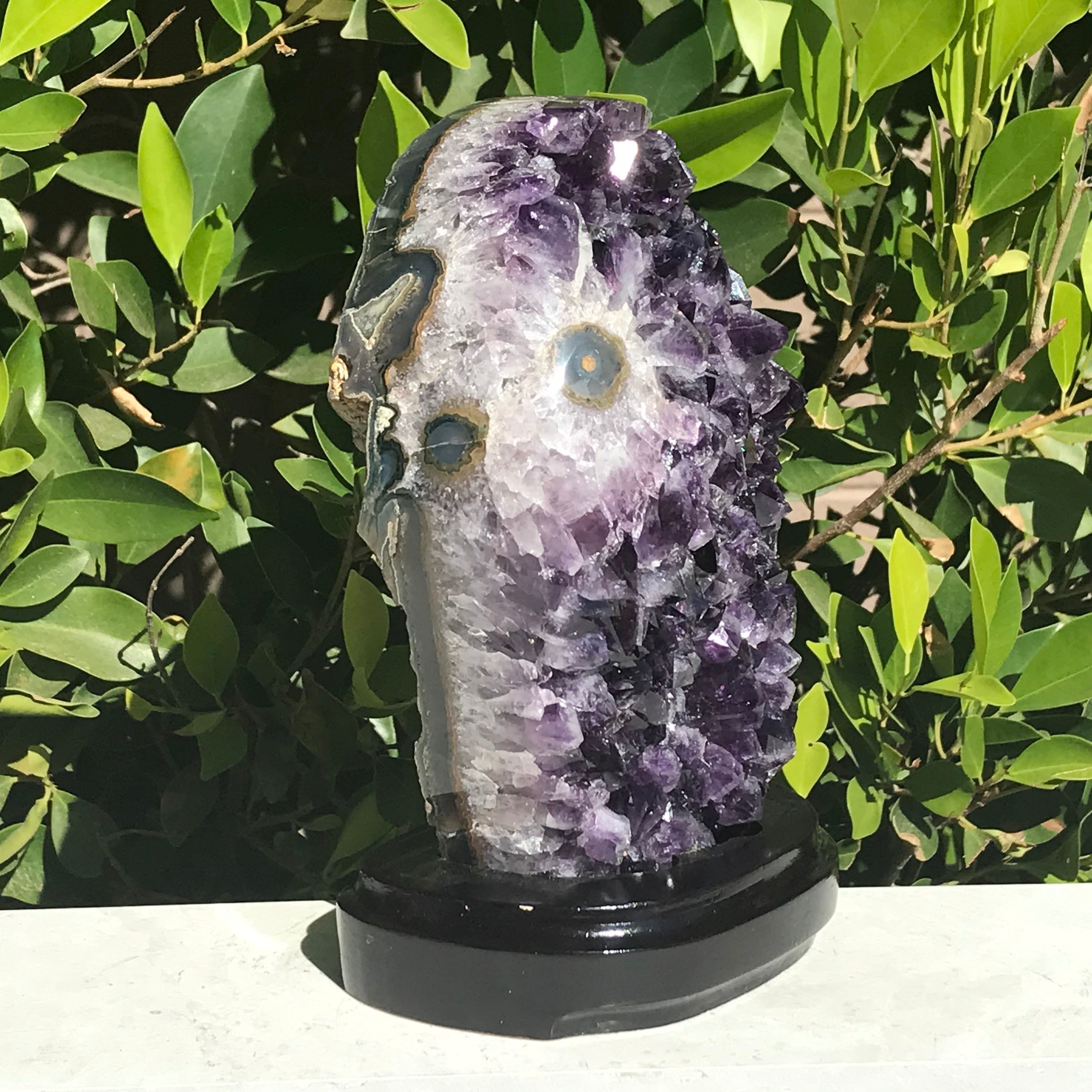 Single Eyed Amethyst Freeform