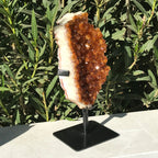 Standing Citrine Freeform