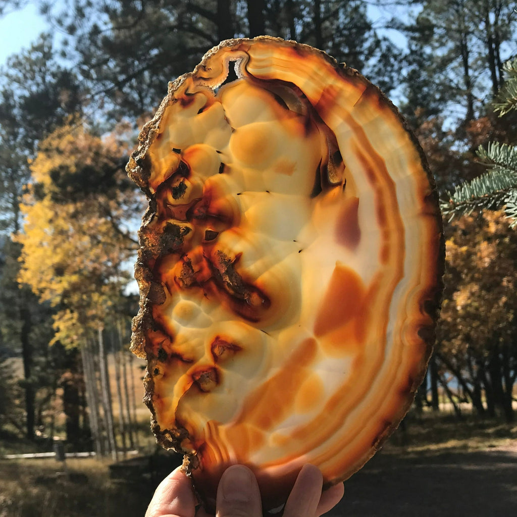 Fiery Detailed Agate Slice