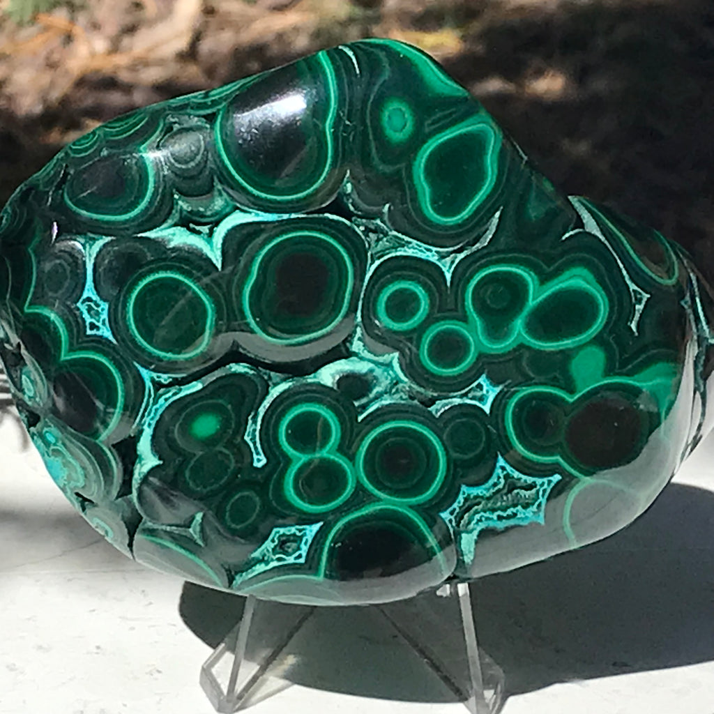 Prominant Orbbed Malachite with Chrysocolla