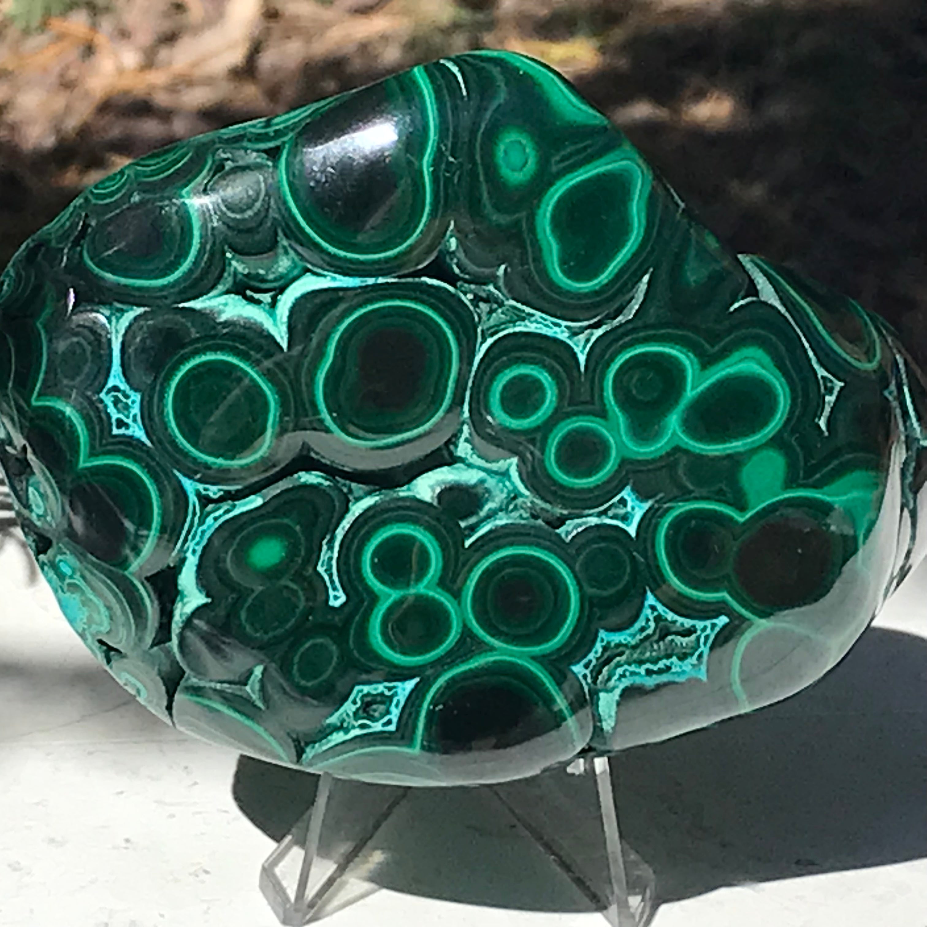 Prominant Orbbed Malachite with Chrysocolla