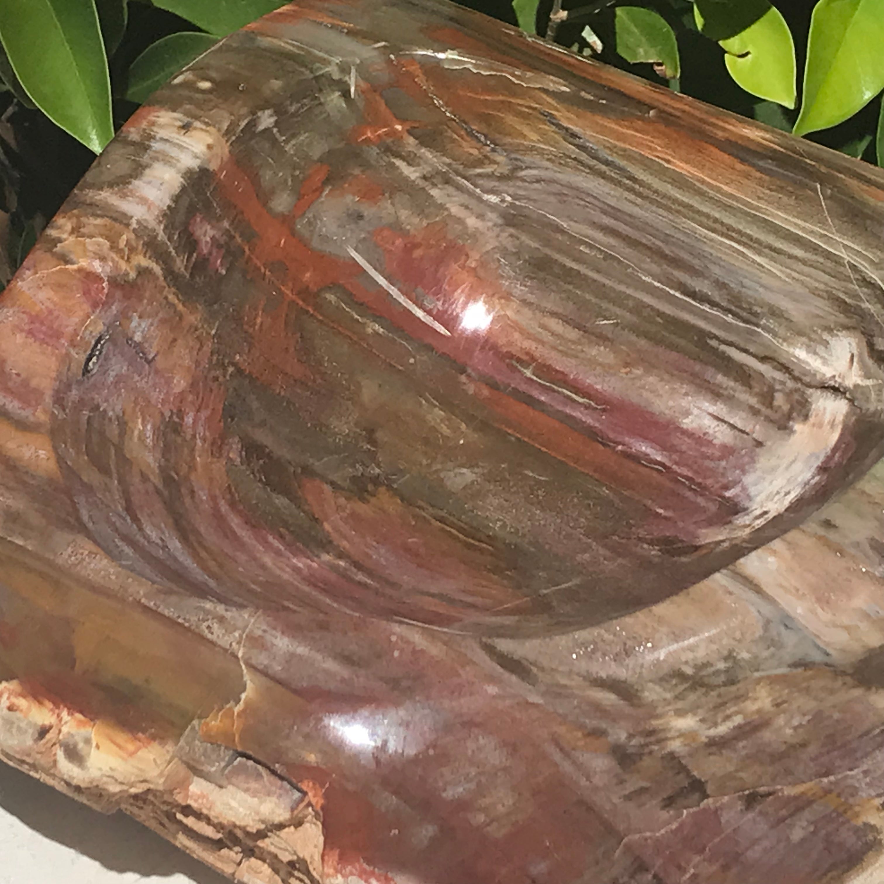Multihued Petrified Wood Bowl