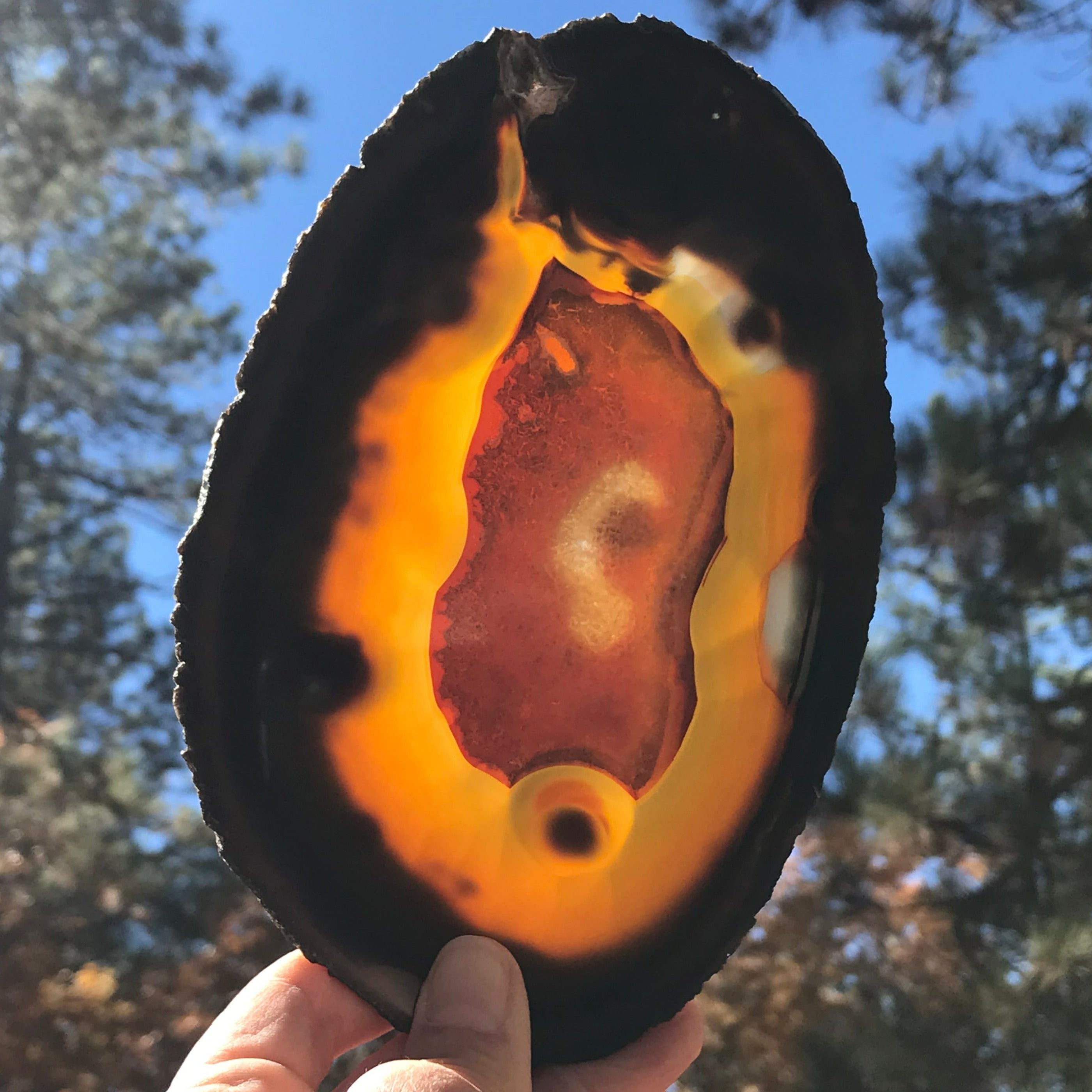 Dramatic Agate Slice