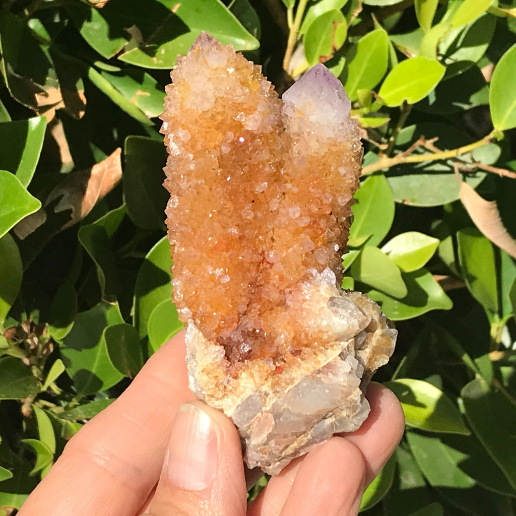 Crystal Coated Amber Cactus Quartz Cluster