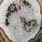 Multicolored Quartz Surrounded Agate Slice