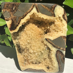 Polished Septarian Geode
