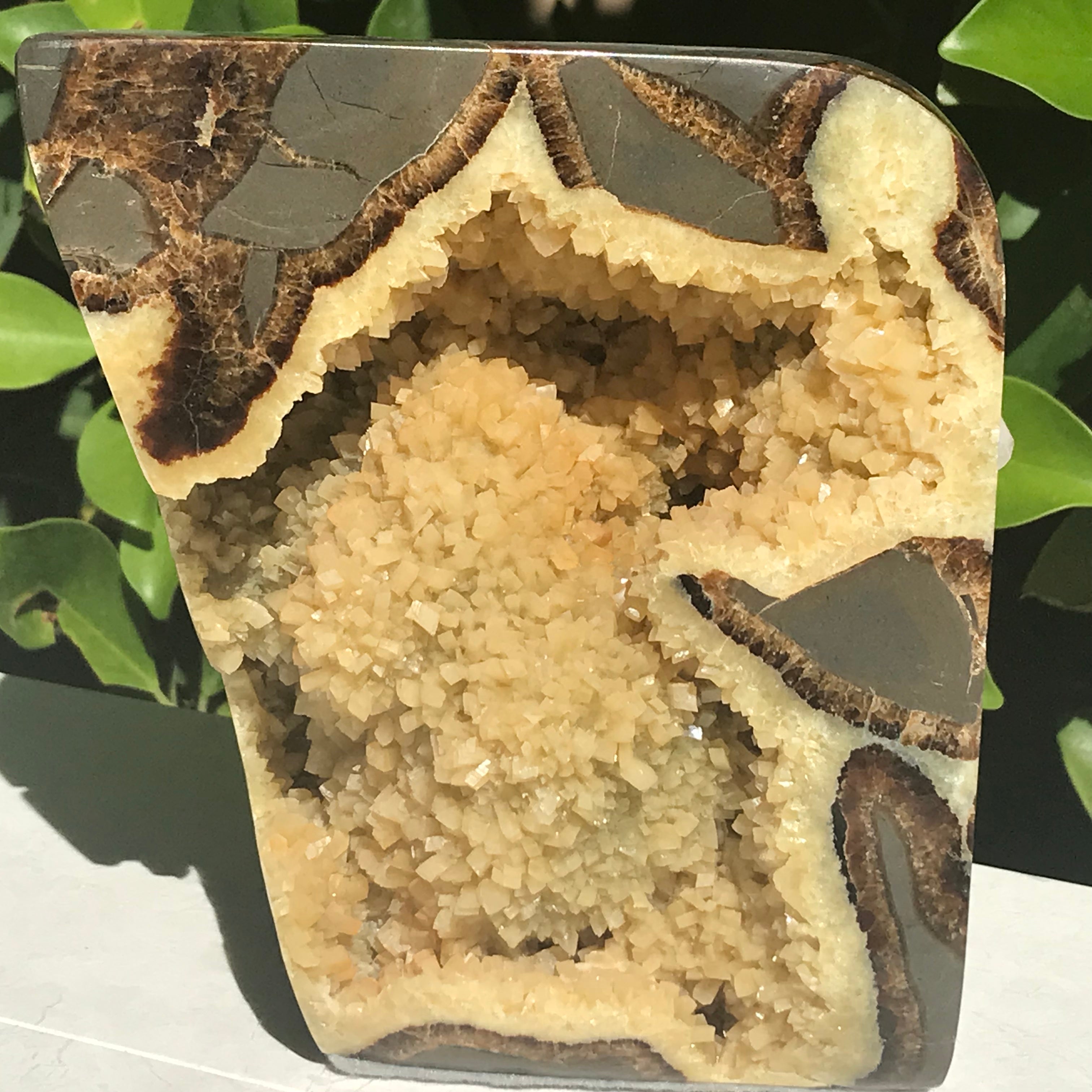 Polished Septarian Geode