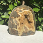 Crystal Filled Septarian Geode