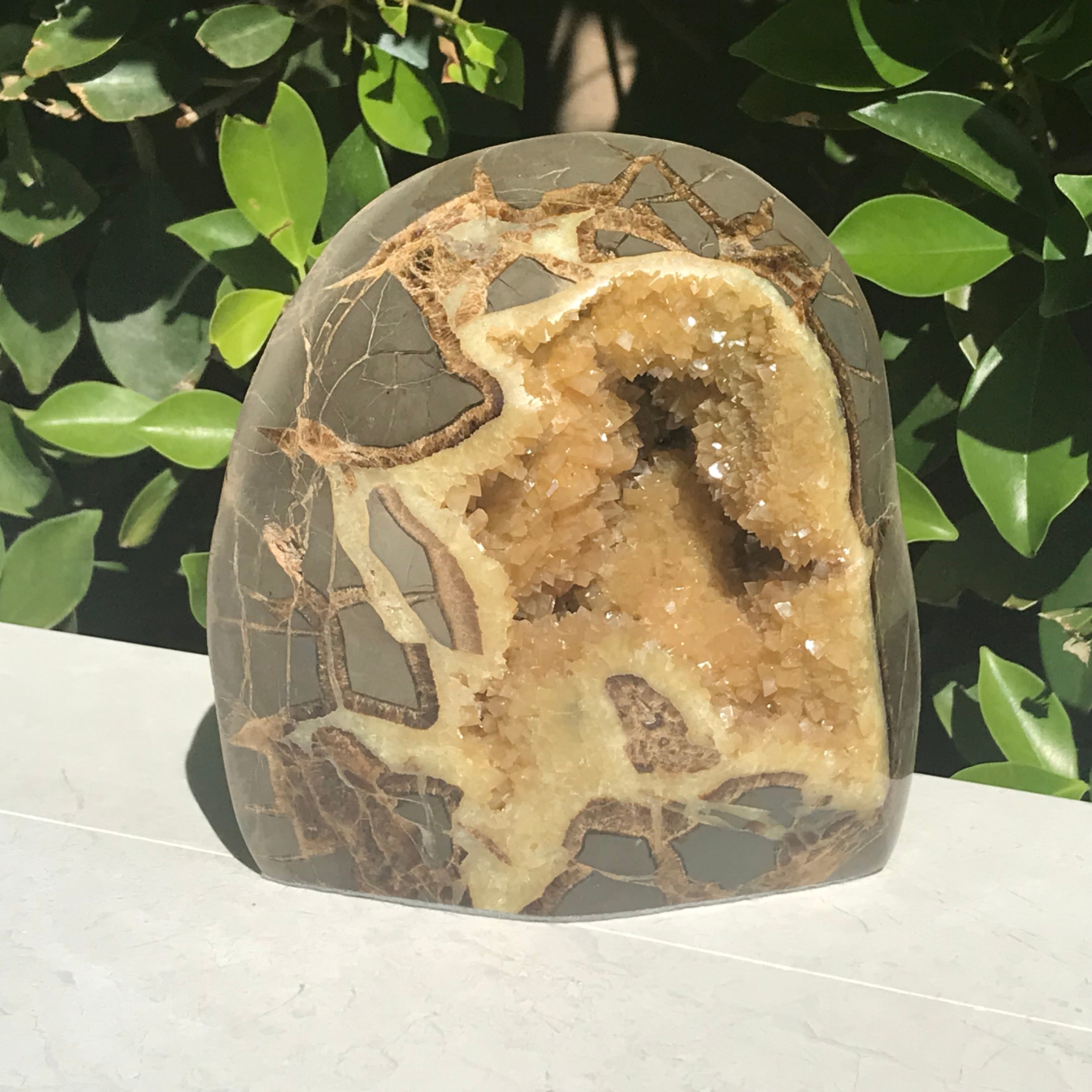 Crystal Filled Septarian Geode