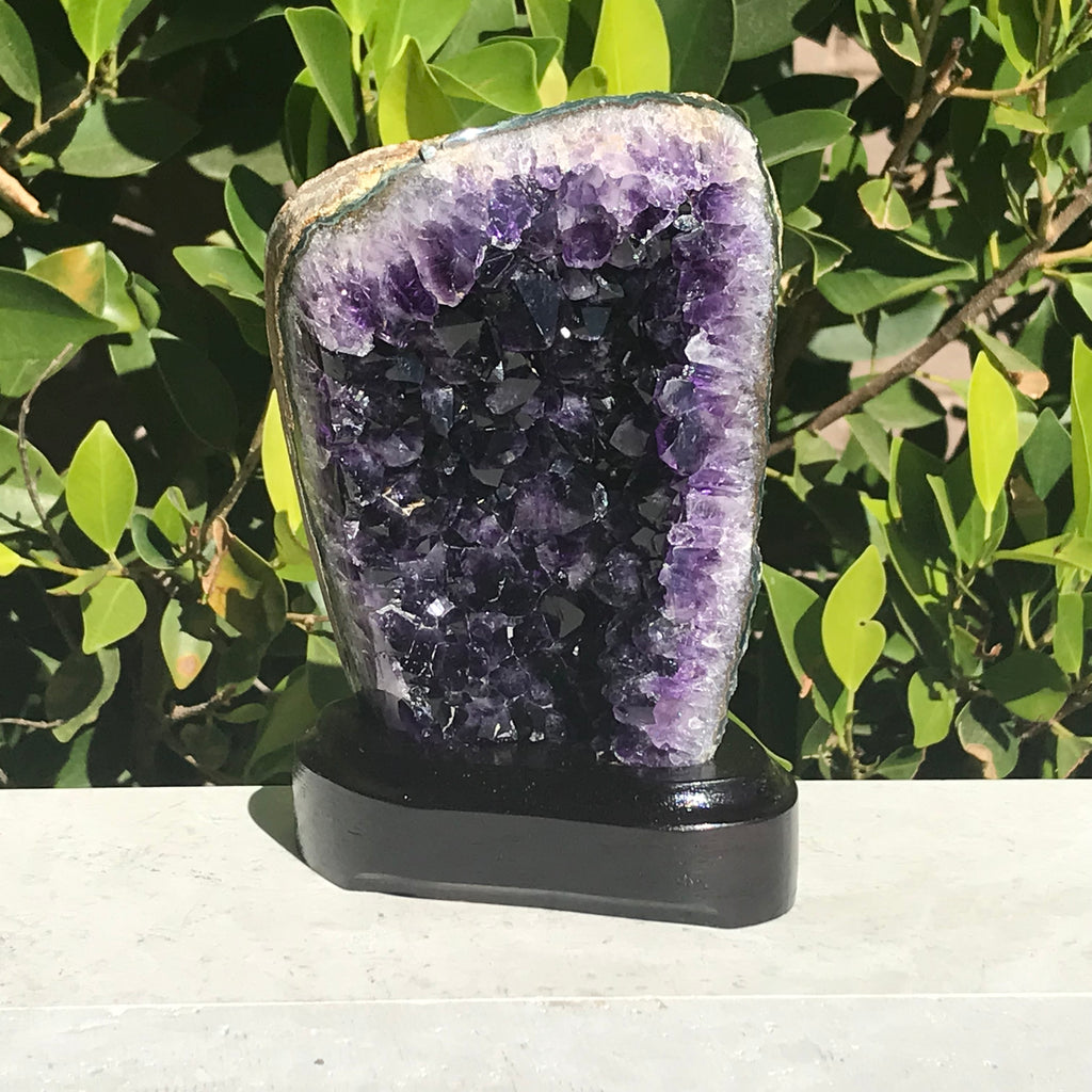 Refined Uruguayan Amethyst Freeform