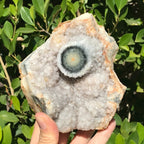 Single Green Eyed Agate Cluster