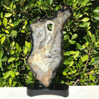 Waves of Agate Slice