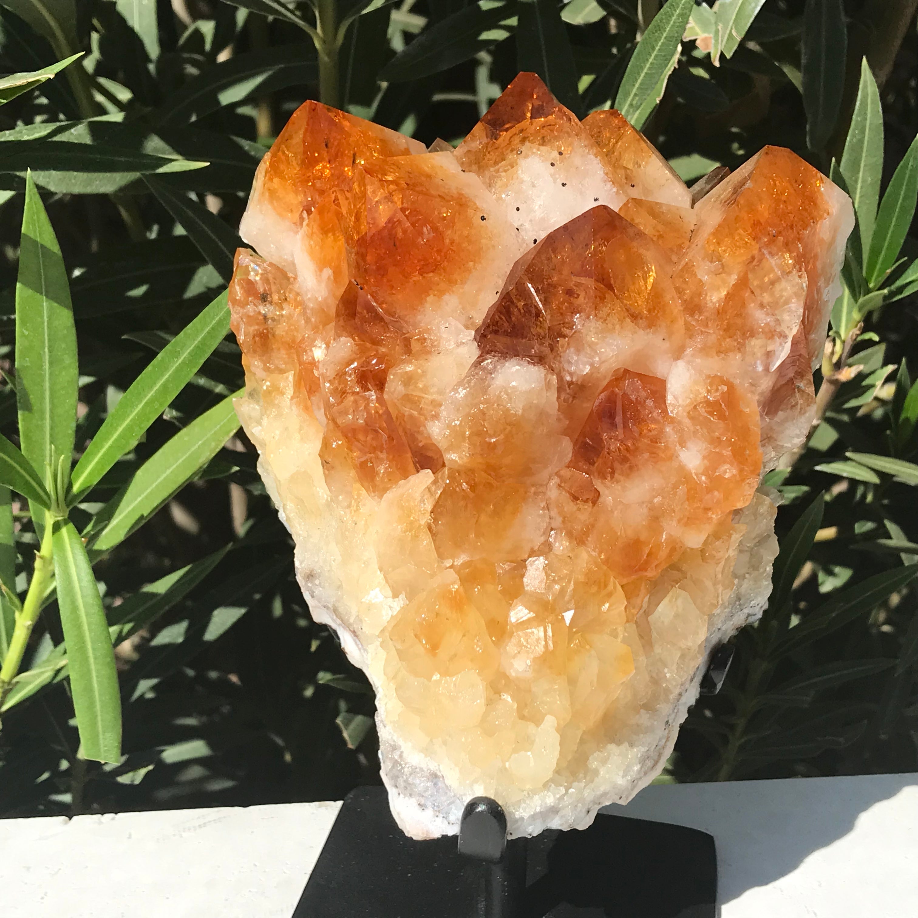 Crystal Topped Citrine