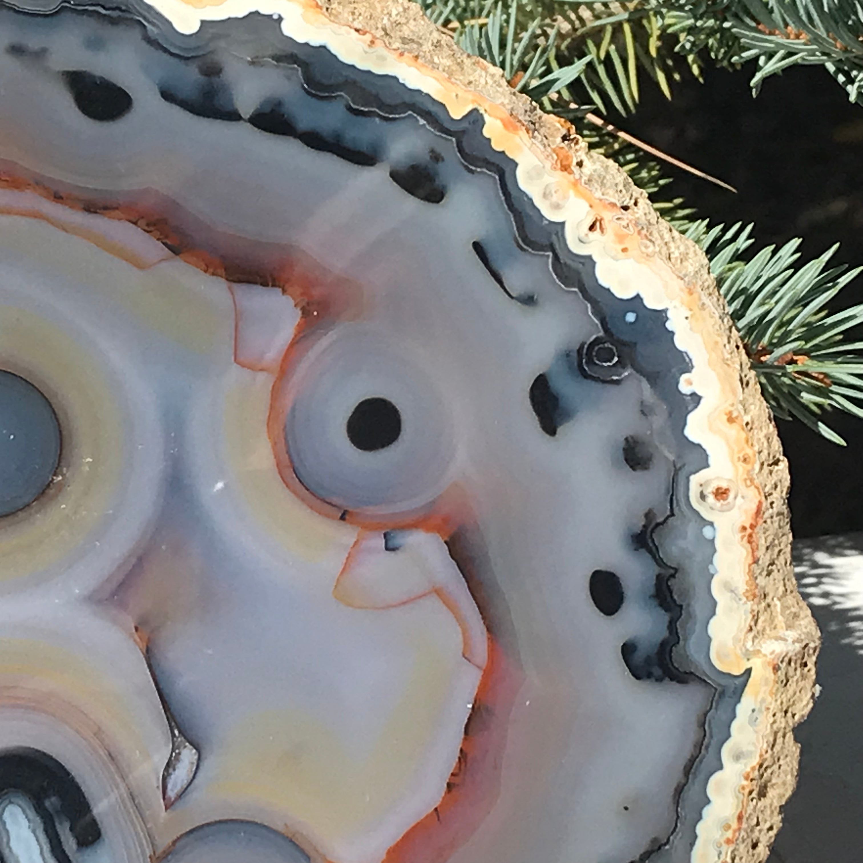 Stunningly Beautiful Agate Slice