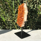 Standing Citrine Freeform