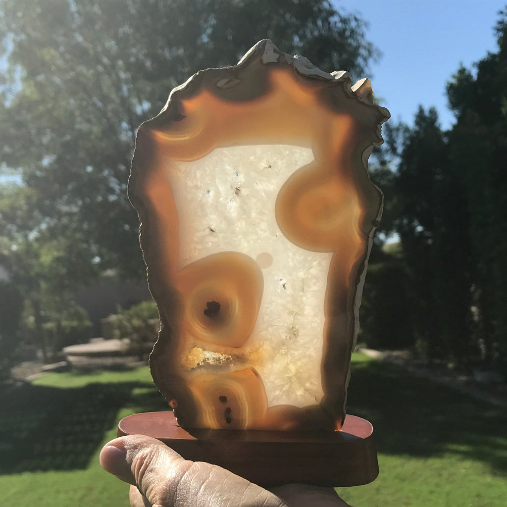Glowing Brazilian Agate Slice