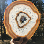 Consecutive Agate Slice #1