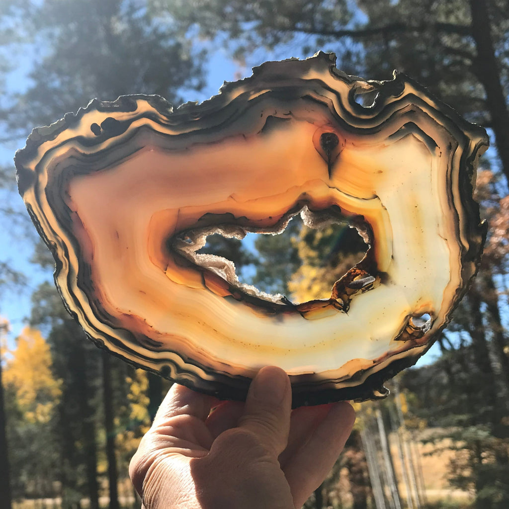 First of Twins Agate Slice