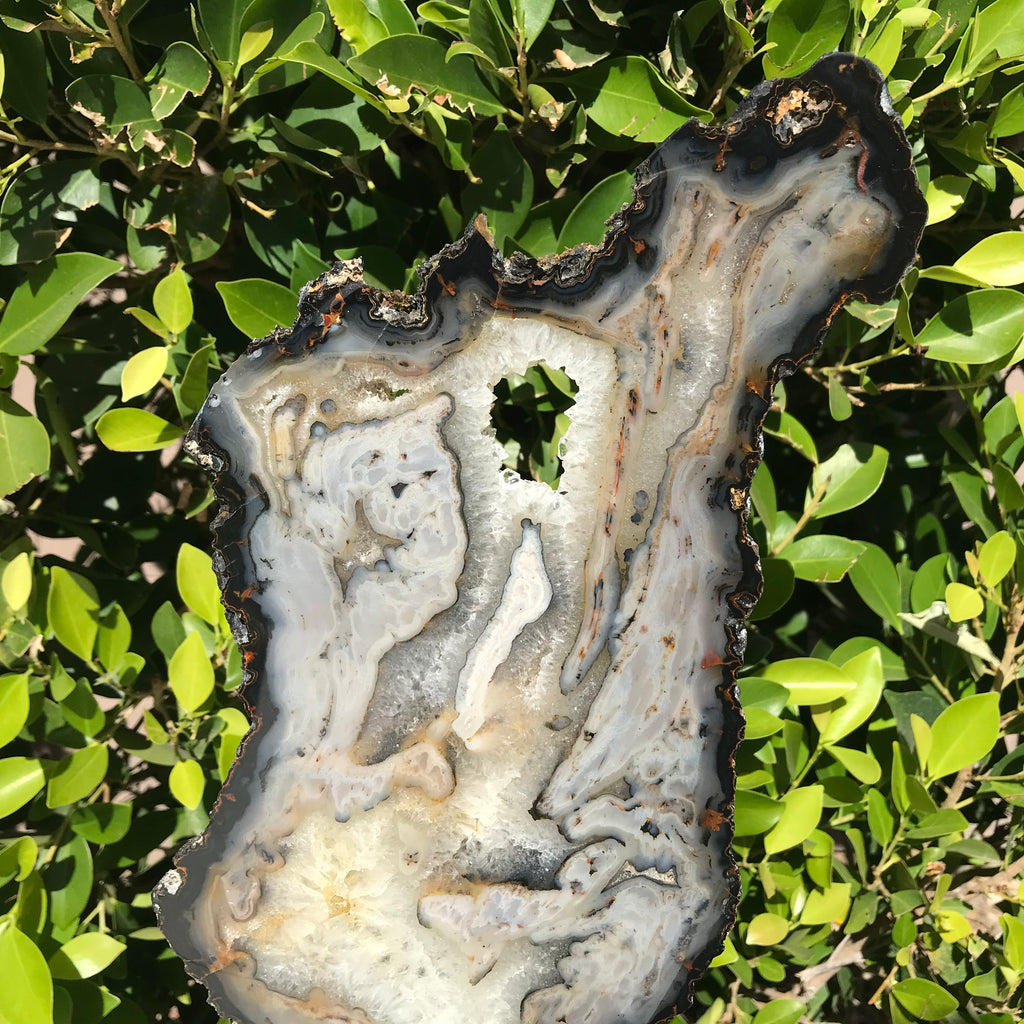 Waves of Agate Slice