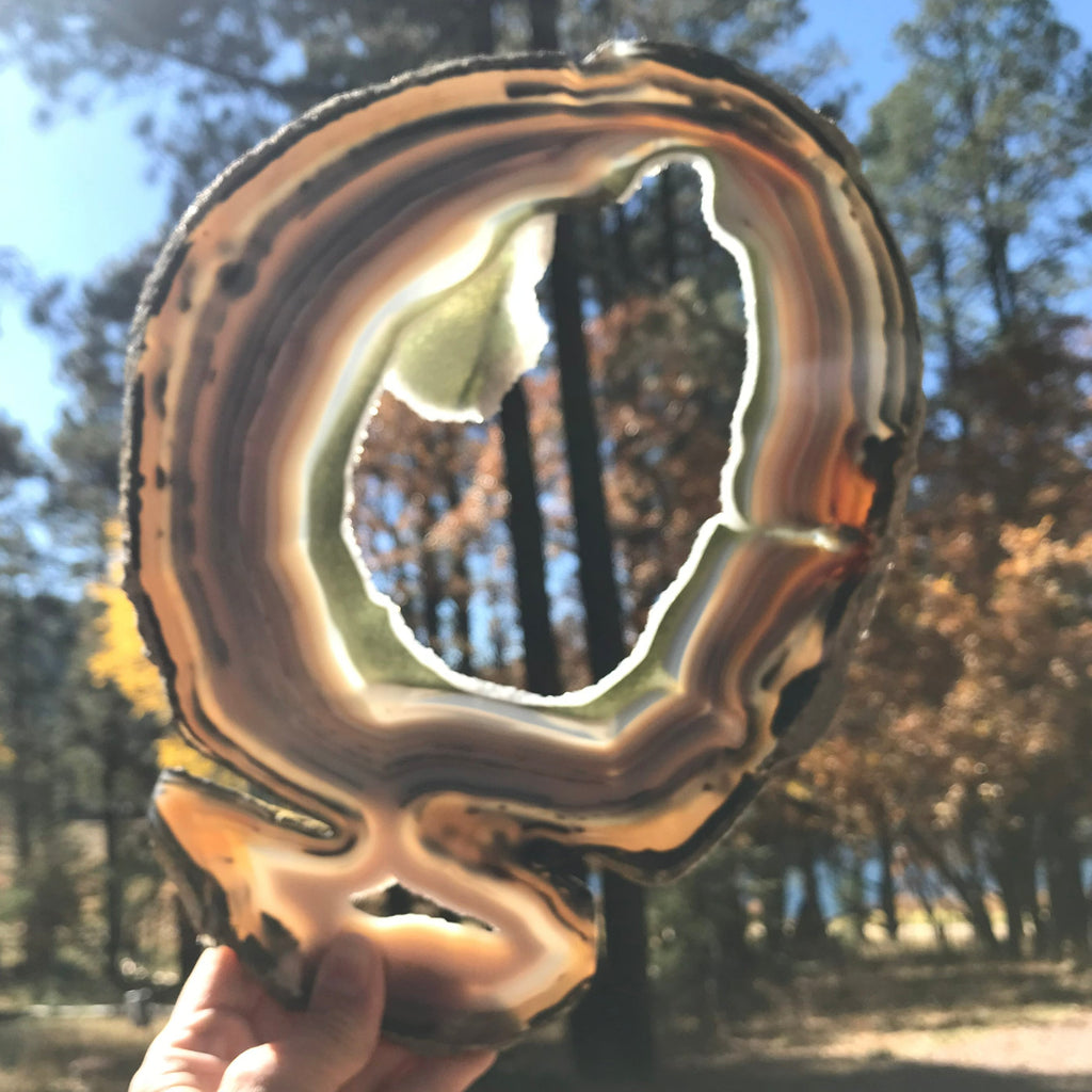Prismatic Rings of Color Agate Slice