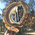 Prismatic Rings of Color Agate Slice