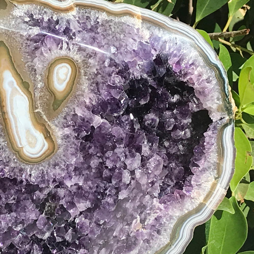 Stately Uruguayan Amethyst with Agate Eyes Freeform