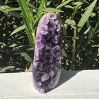 Amethyst Faced Freeform