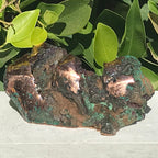 Michigan Float Copper Freeform