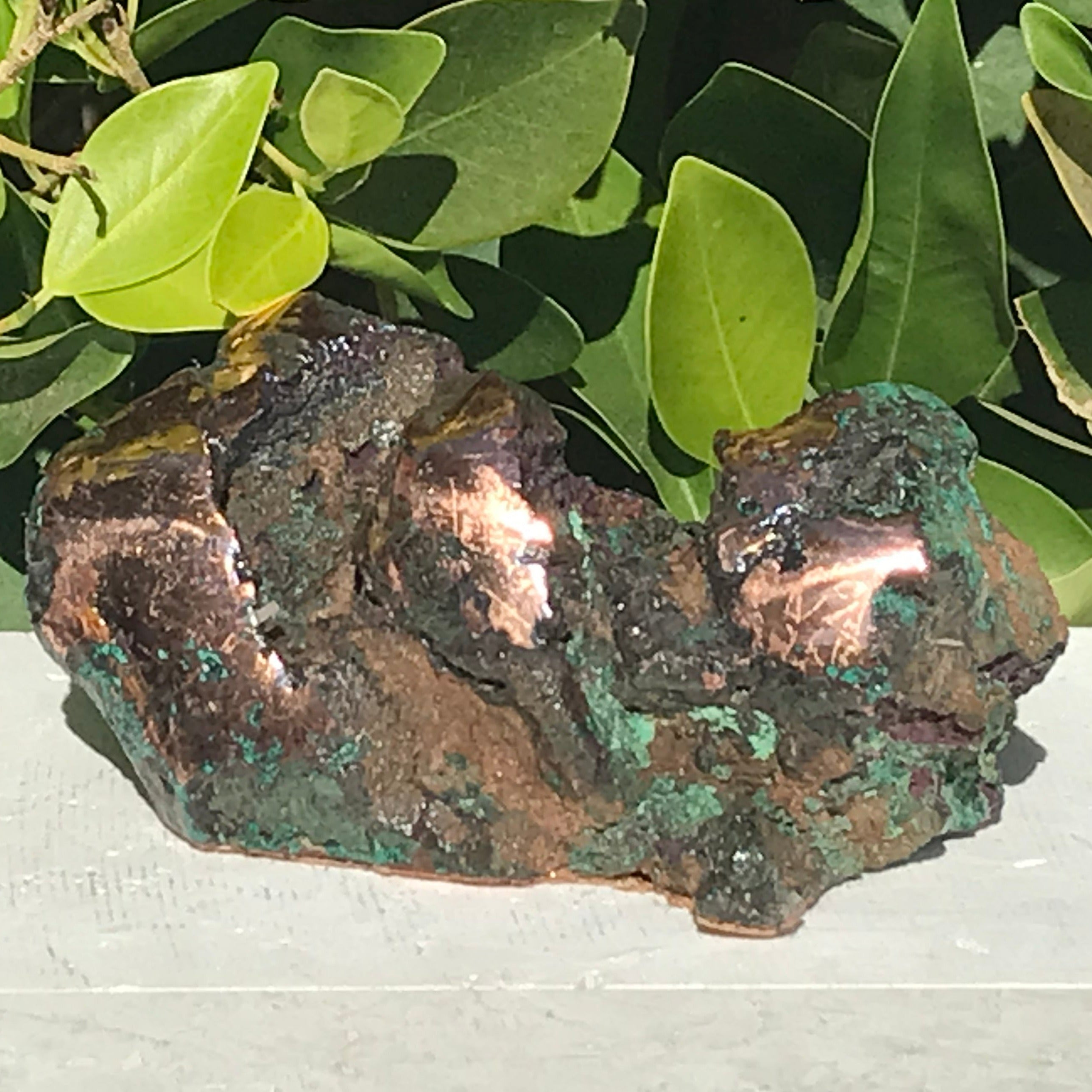 Michigan Float Copper Freeform