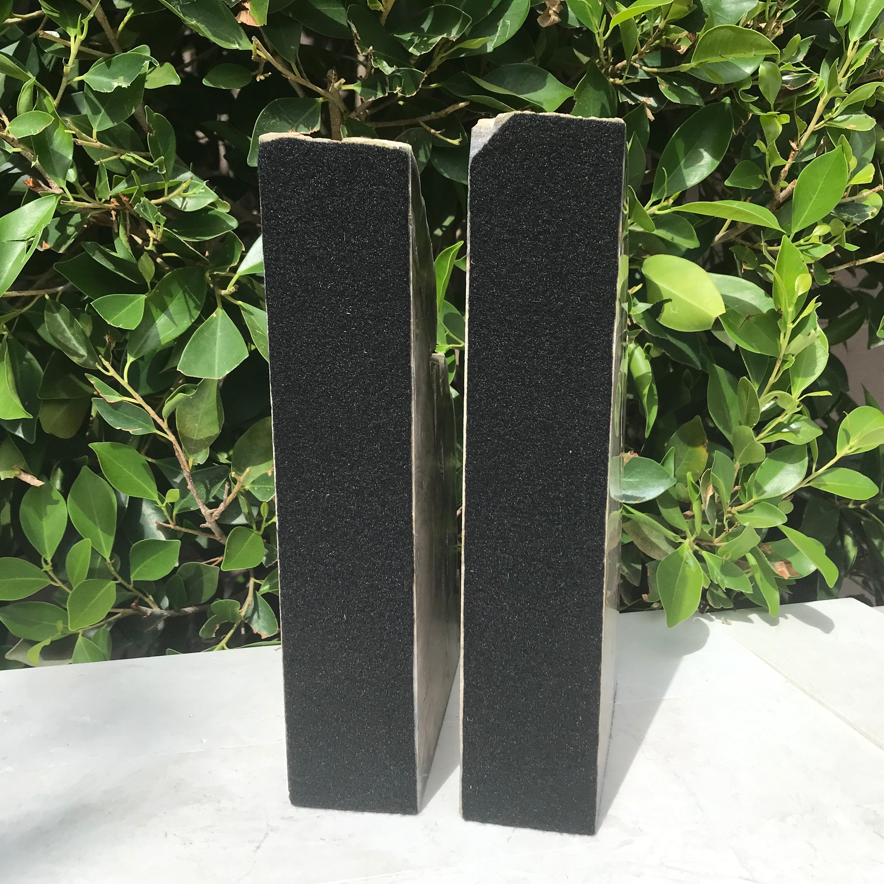 Petrified Cypress Wood Bookends