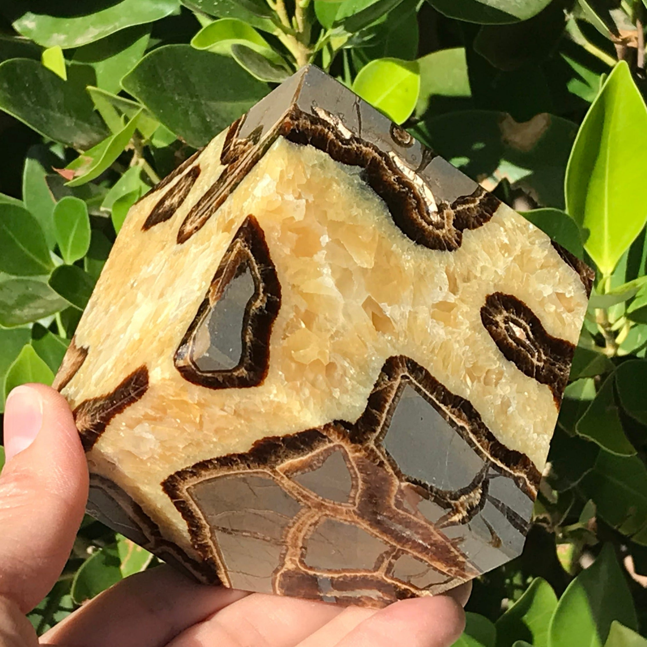 Polished Septarian Cube