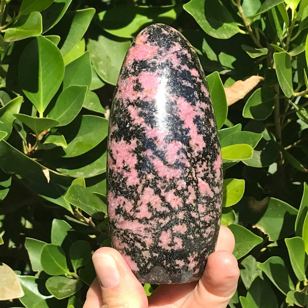 Black and Pink Rhodonite Nodule