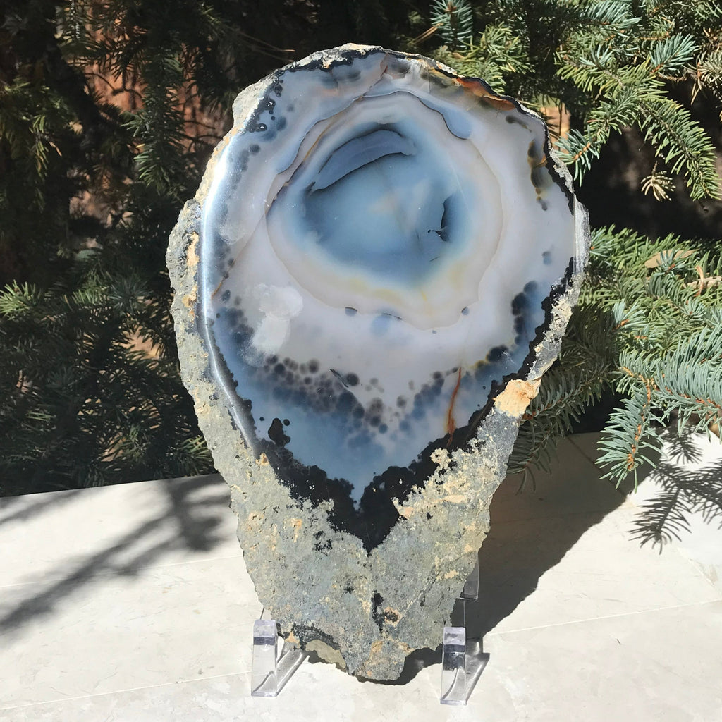 Prominent Floral-Like Eye Agate Slice.