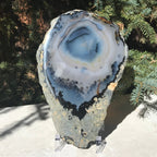 Prominent Floral-Like Eye Agate Slice.