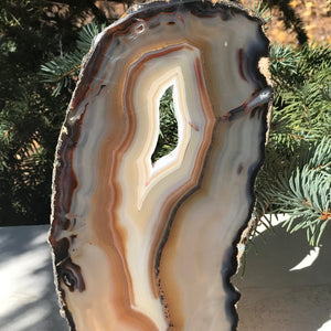 Microcrystalline Quartz and Banded Agate Slice