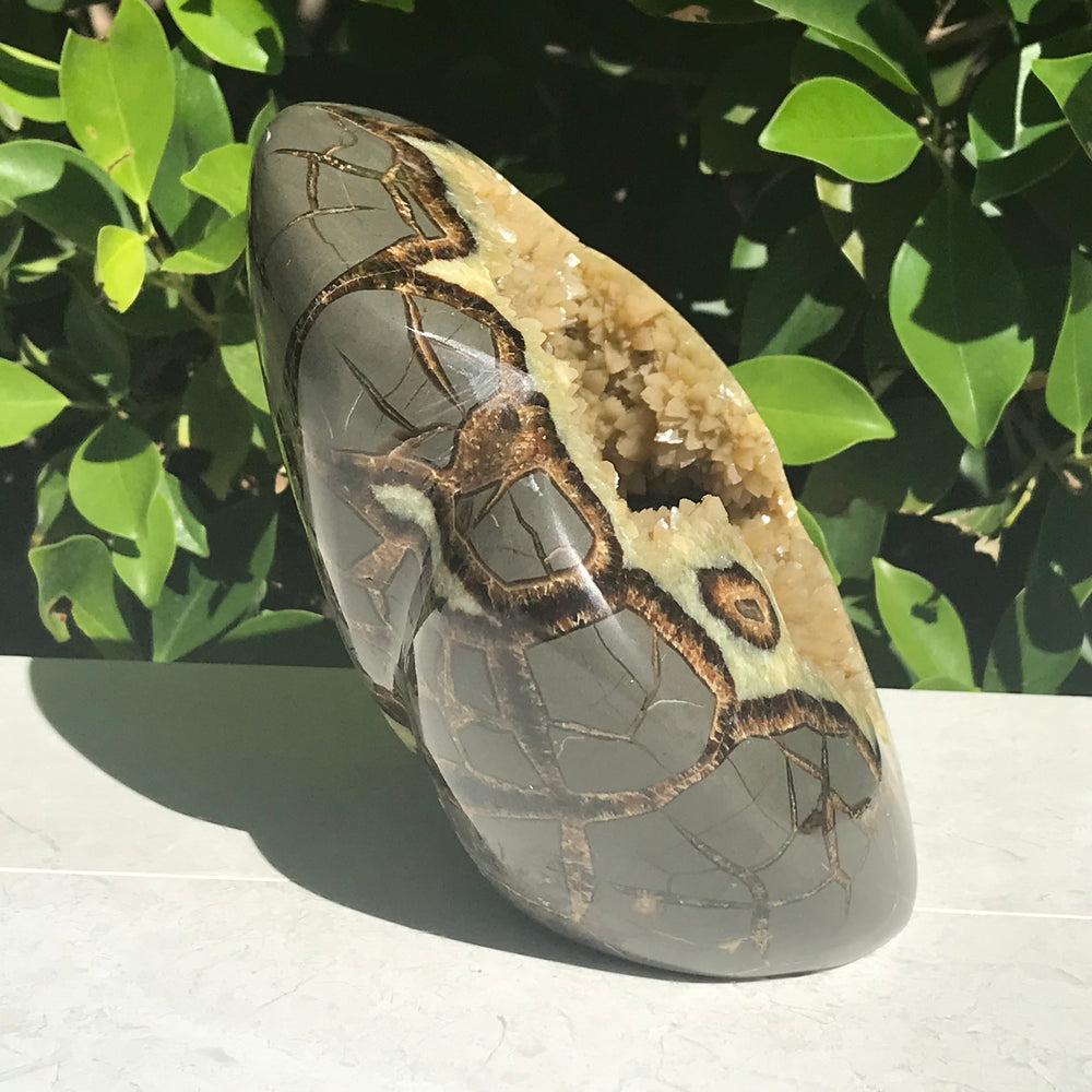 Polished Septarian Sculpture