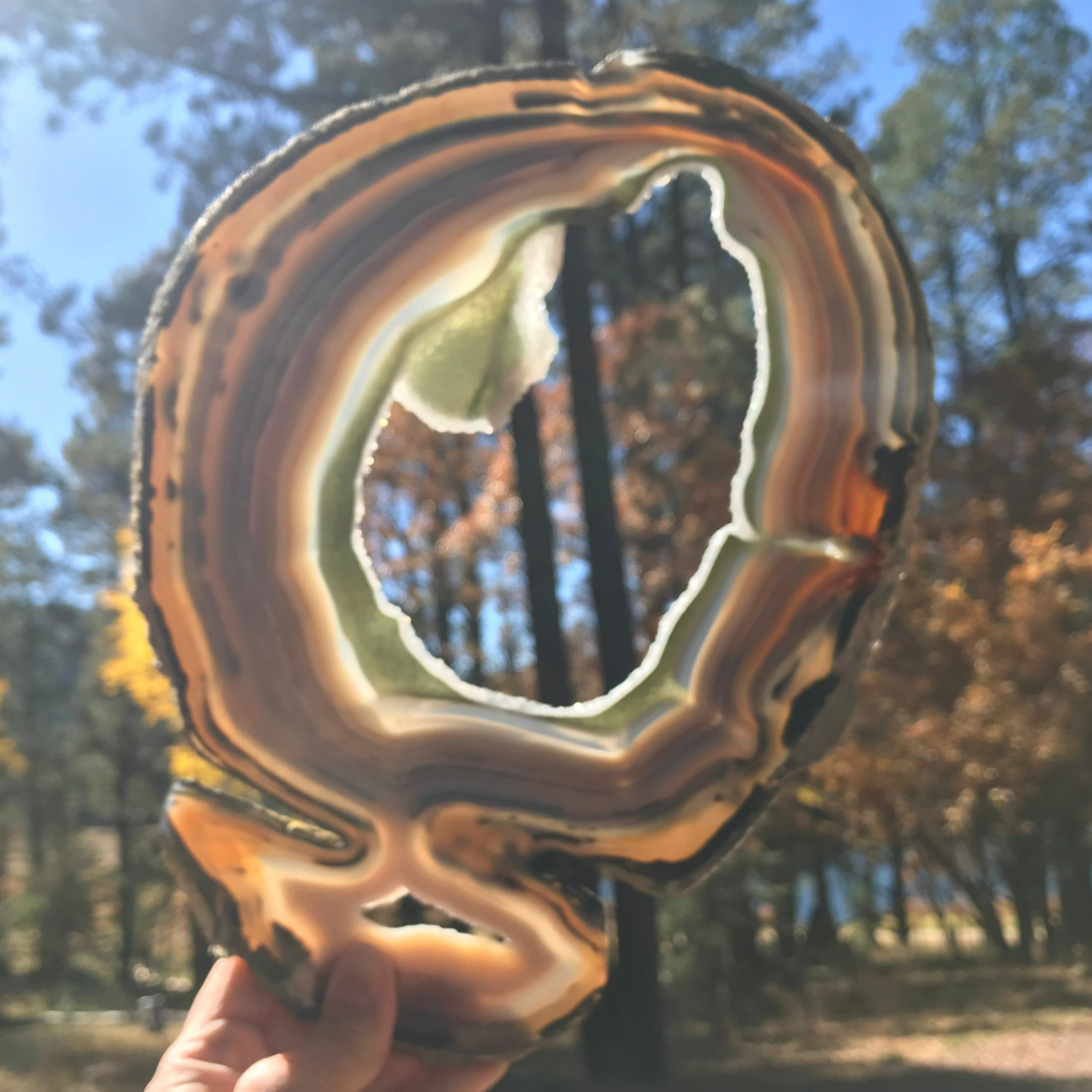 Prismatic Rings of Color Agate Slice