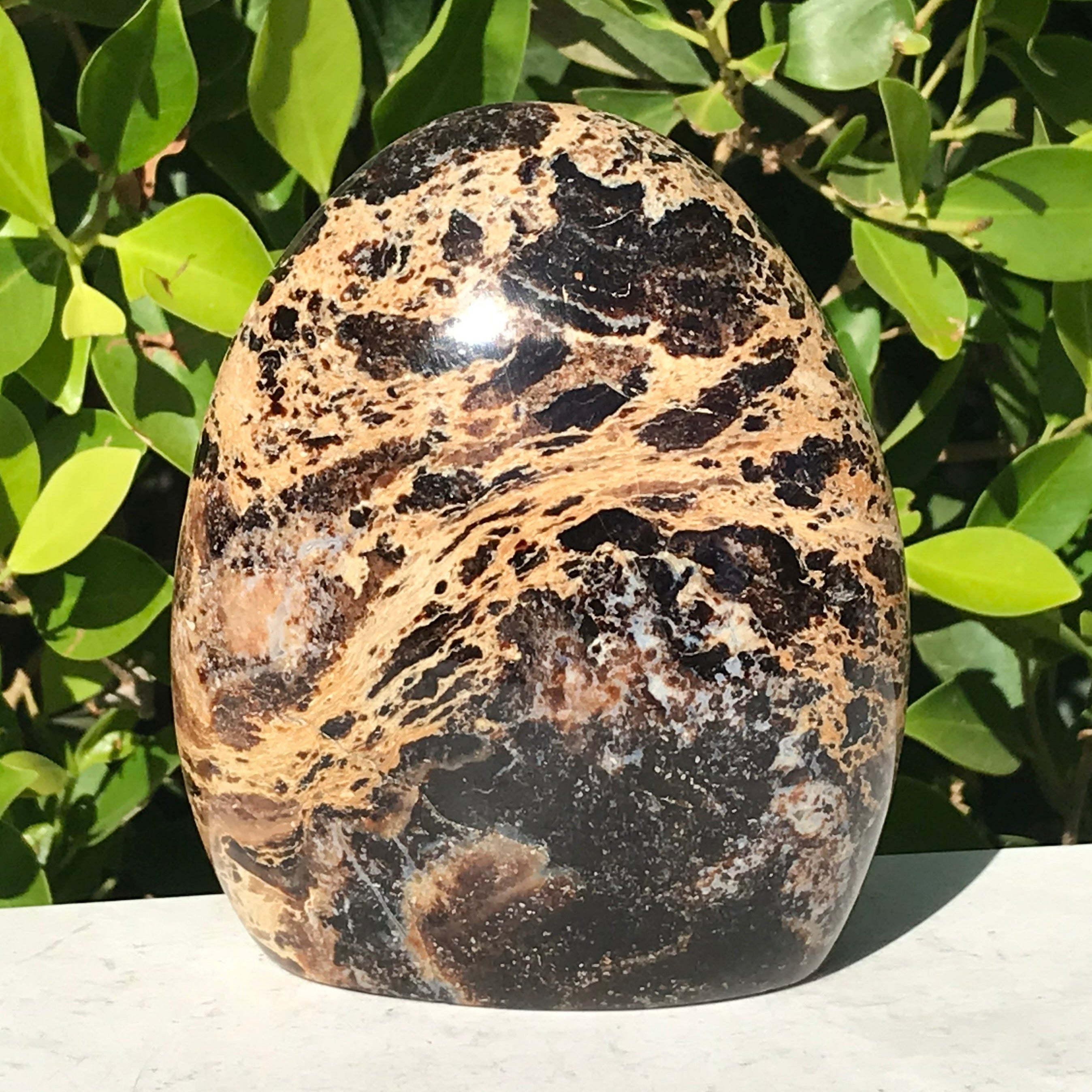 Black Opal Freeform