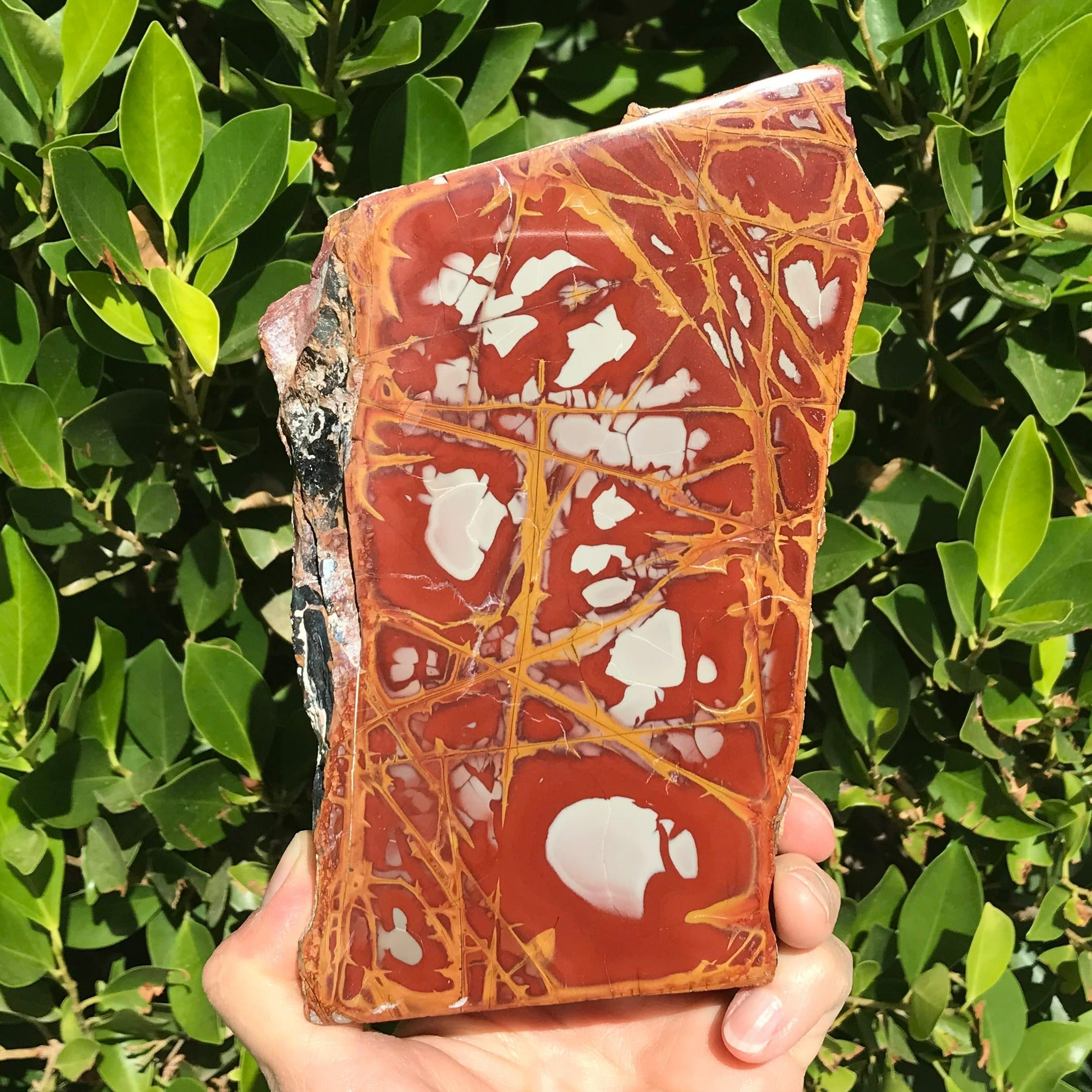 Noreena Jasper Slab