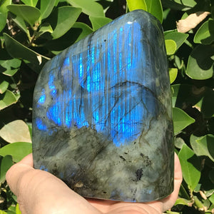 Bright Blue Labradorite Freeform