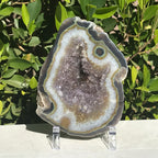Olive Green Banded Amethyst Geode