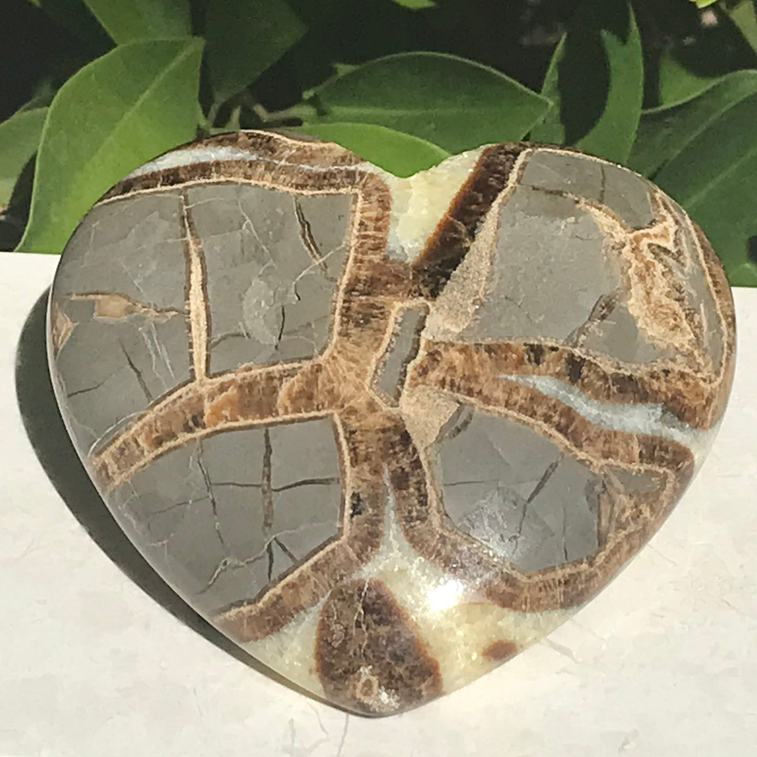 Utahn Septarian Heart