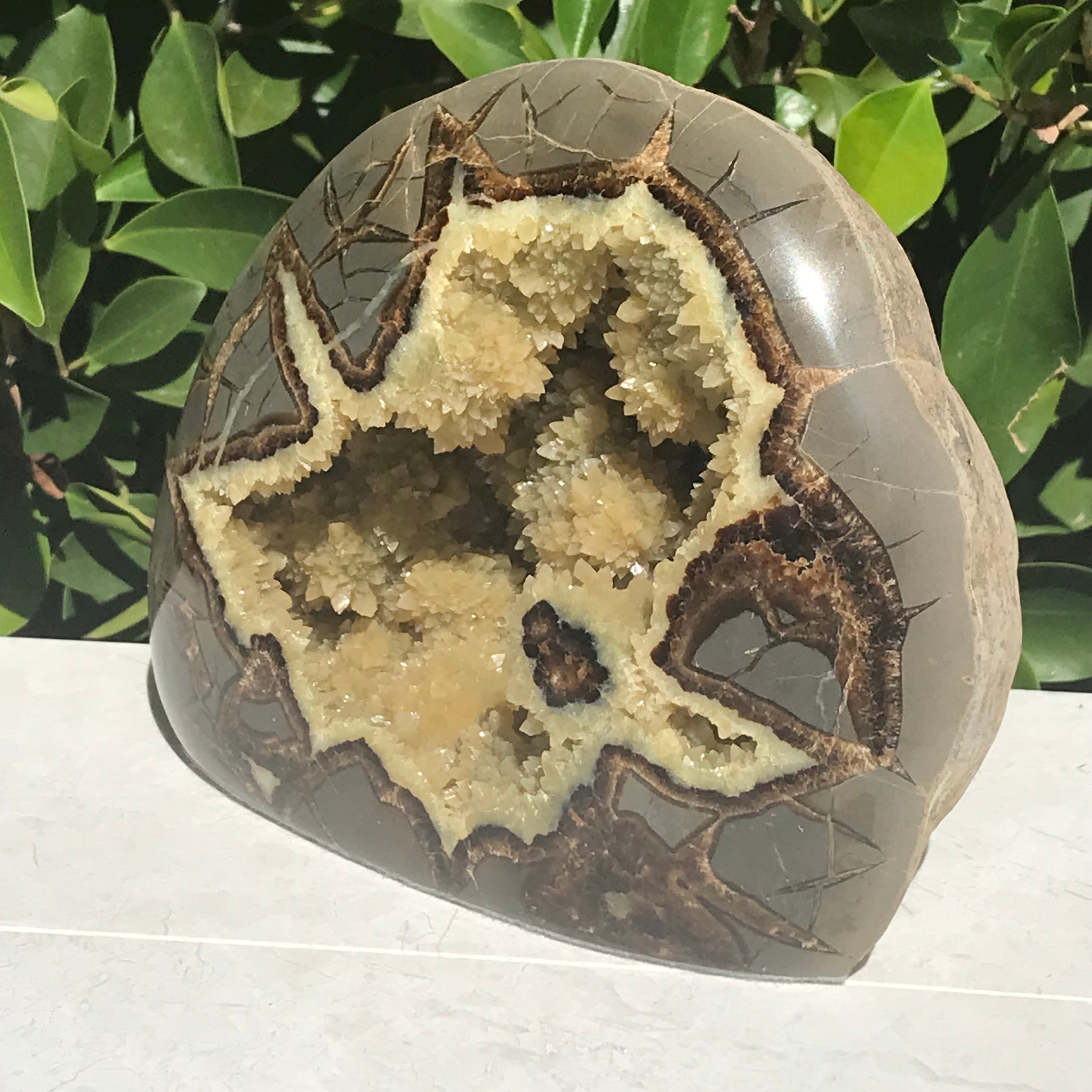 Polished Septarian Nodule