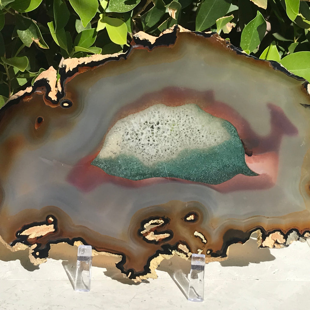 Bold Yellow and Green Banded Agate Slice