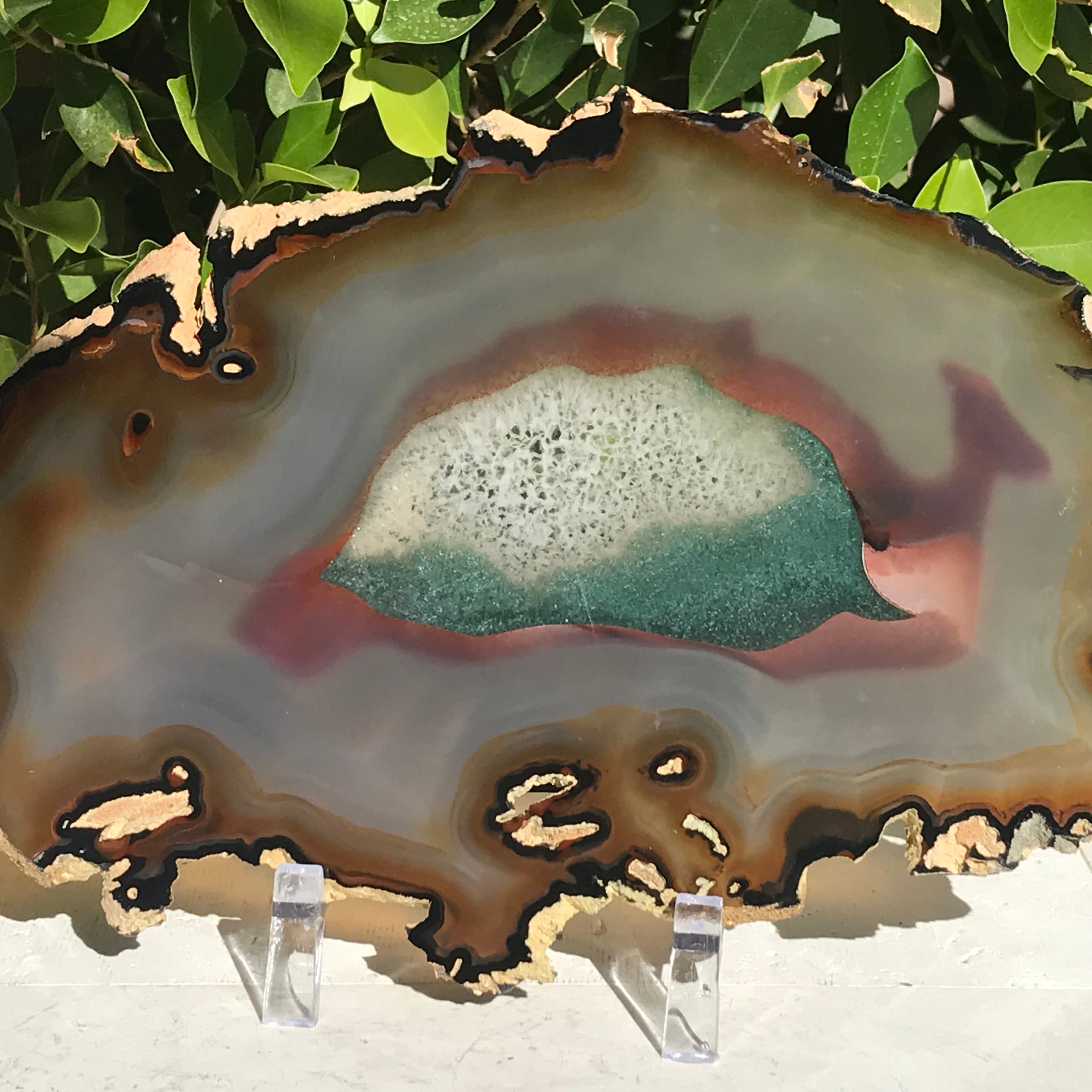 Bold Yellow and Green Banded Agate Slice