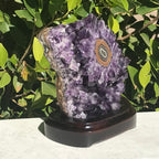 Amethyst Cluster with Magnifient Stalactite Eye