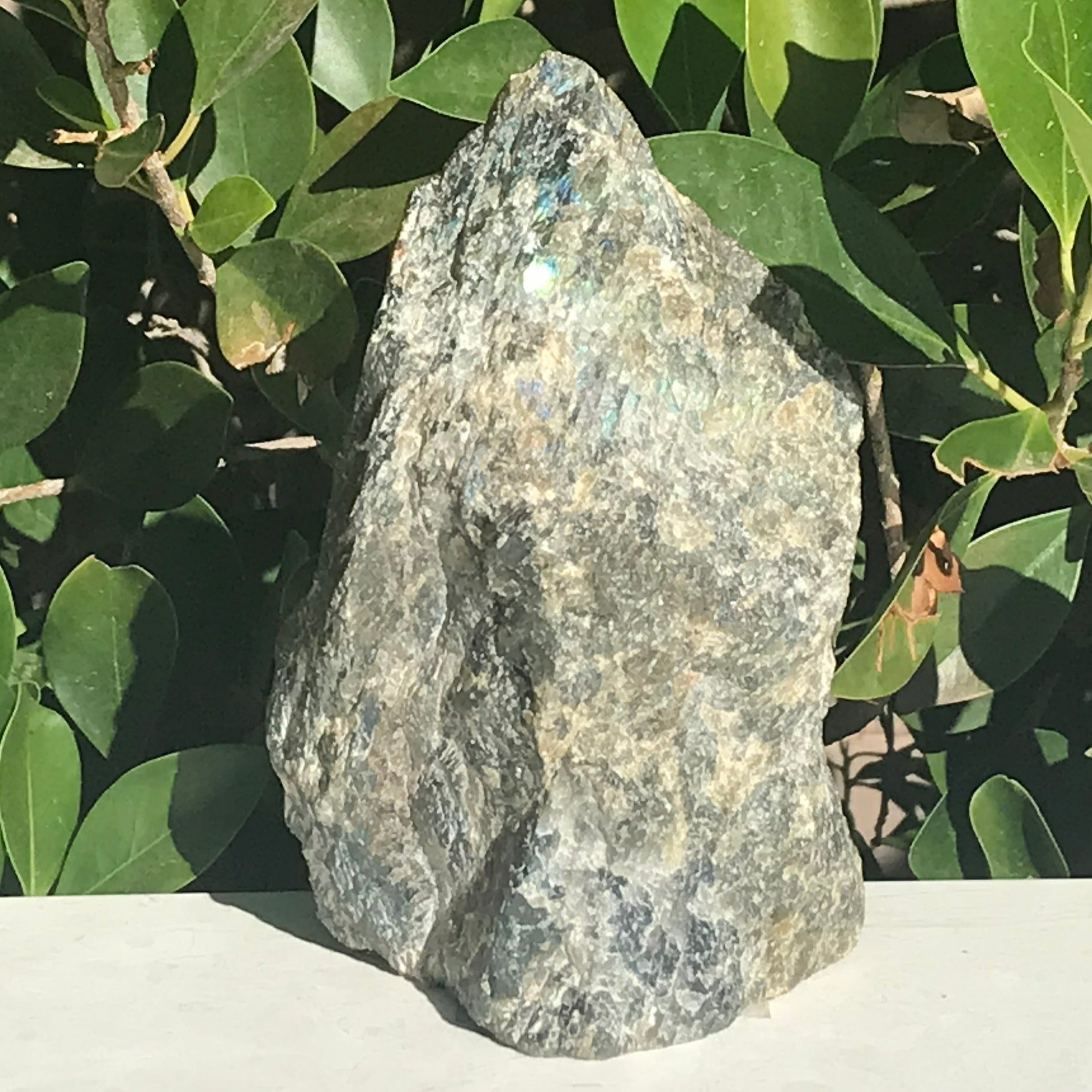 Brilliant Labradorite Freeform